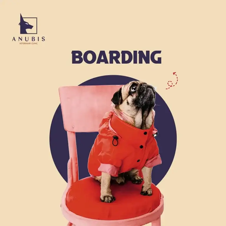 Boarding