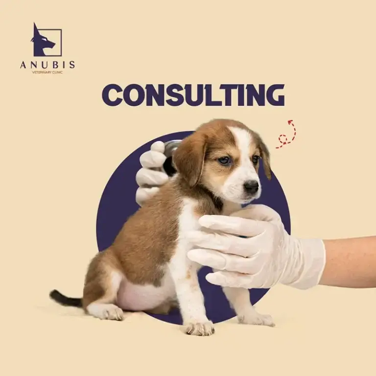 Consulting