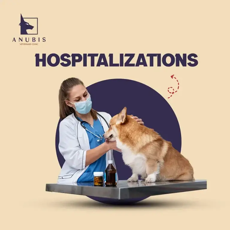 Hospitalizations