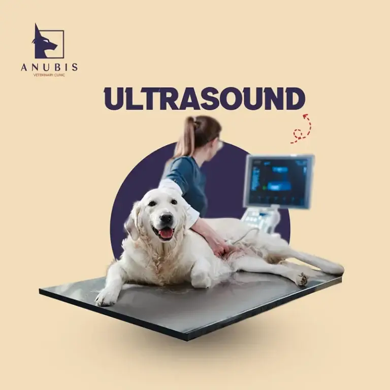 Ultrasound