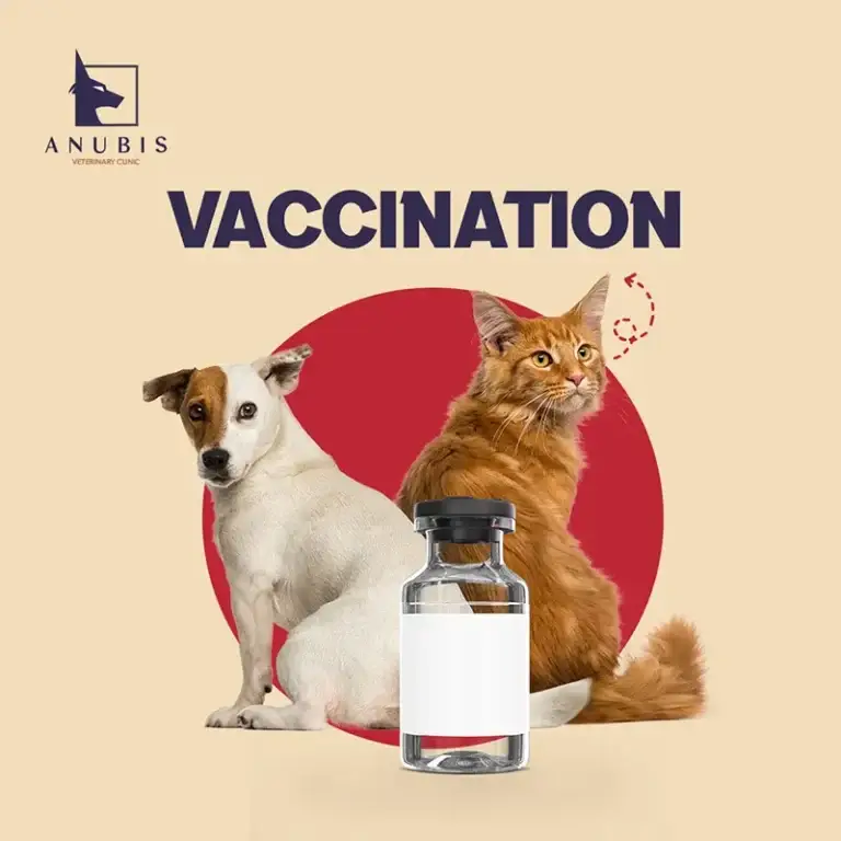 Vaccination