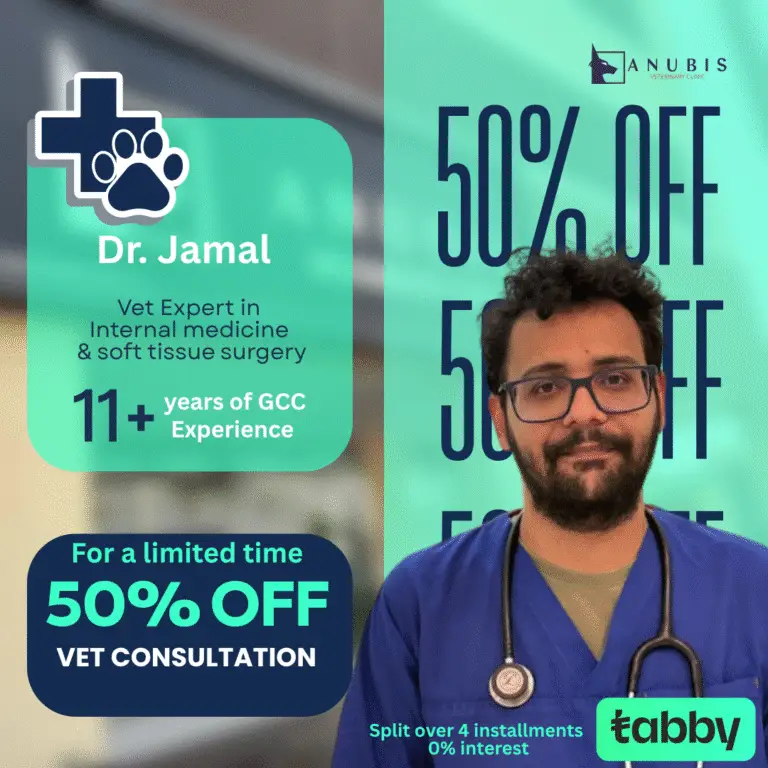 13 Oct consultation 1