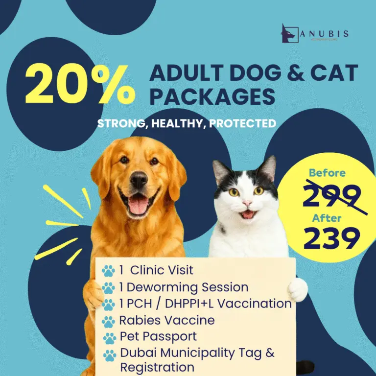 14 Oct edited old dog and cat (1)