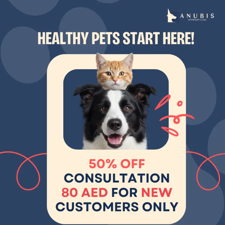 29 Sep edited consultation 4