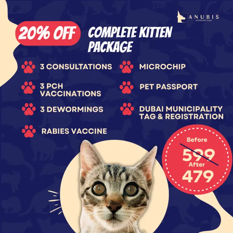 Complete Kitten Package