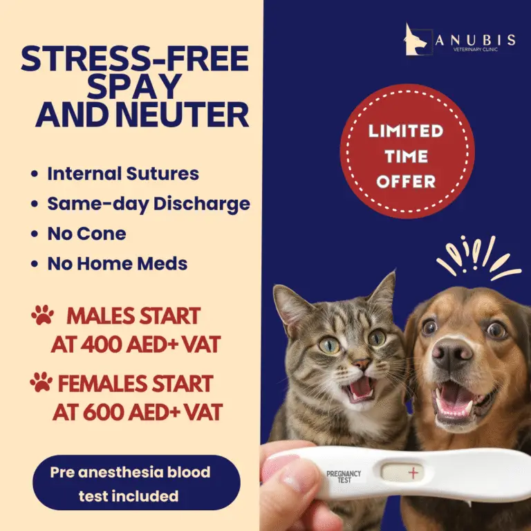 Spay & Neuter Offer
